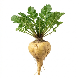 Maca peruana